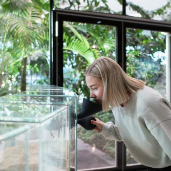 Fazer Visitor Centre 2.0